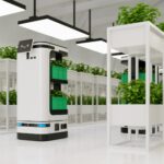 AI robot that help transport and take care of in vegetable plantation