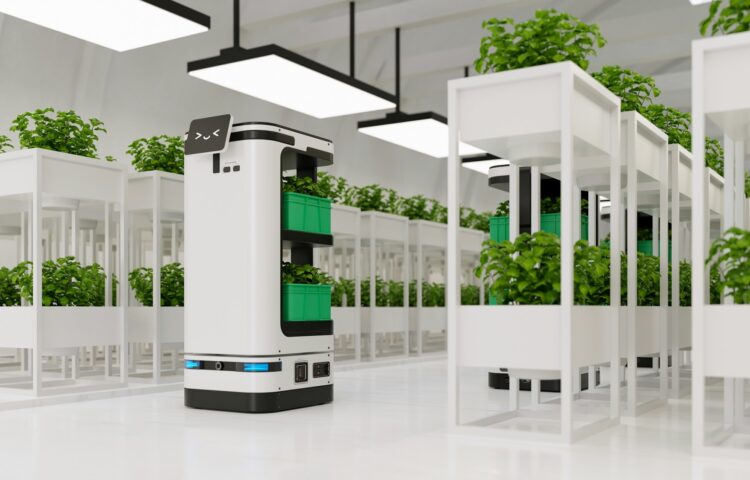 AI robot that help transport and take care of in vegetable plantation