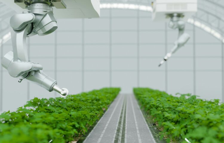 organic farm in house with working robot