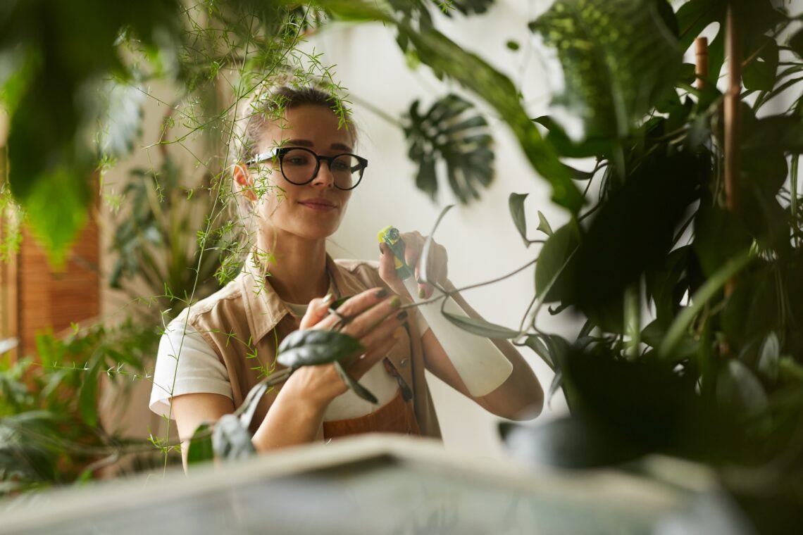 Care of home plants