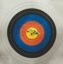 Arrows in an archery target